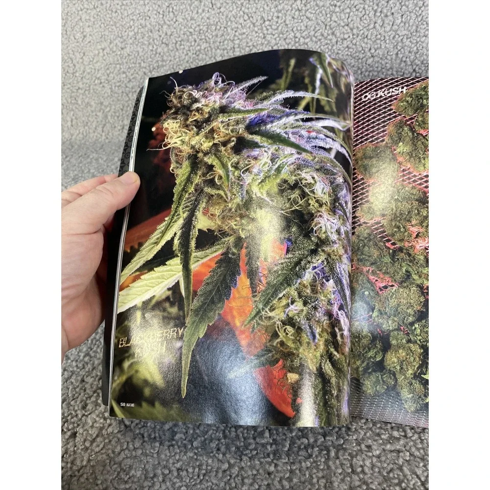 High Times‎ January 2009 Issue# 396 James Franco Stoner